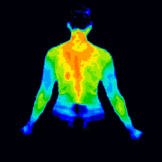 internal body temperature