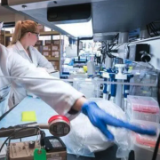 Women working in a bio lab