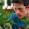 A white man with brown hair in blue t-shirt and wearing protective glasses concentrates on his work in a greenhouse.