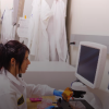 A woman in a lab coat and blue gloves works at a laboratory computer