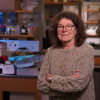 Leslie Leinwand in her laboratory