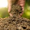 A hand picks up rich organic soil