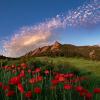 Vibrant red poppies bloom in the foreground of a lush green meadow with Boulder’s Flatirons rising dramatically under a colorful sunrise sky dotted with soft clouds.