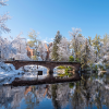 Snow-covered trees and historic campus buildings reflected in a calm pond, with a stone bridge crossing the water under a bright blue winter sky.