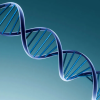 DNA illustration