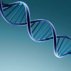 Illustration of DNA