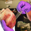 A pair of gloved hands holds a human heart on the left while the right hand stretches a flexible, mesh-like device near the heart. The background is blurred, focusing attention on the heart and the mesh device.