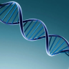 Illustration of a DNA strand