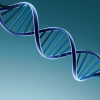 Illustration of DNA strand