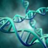 Gene therapy