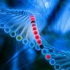 dna strand
