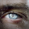 Quantum State