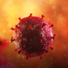 Illustration of a red virus