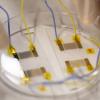 sickle cell technology