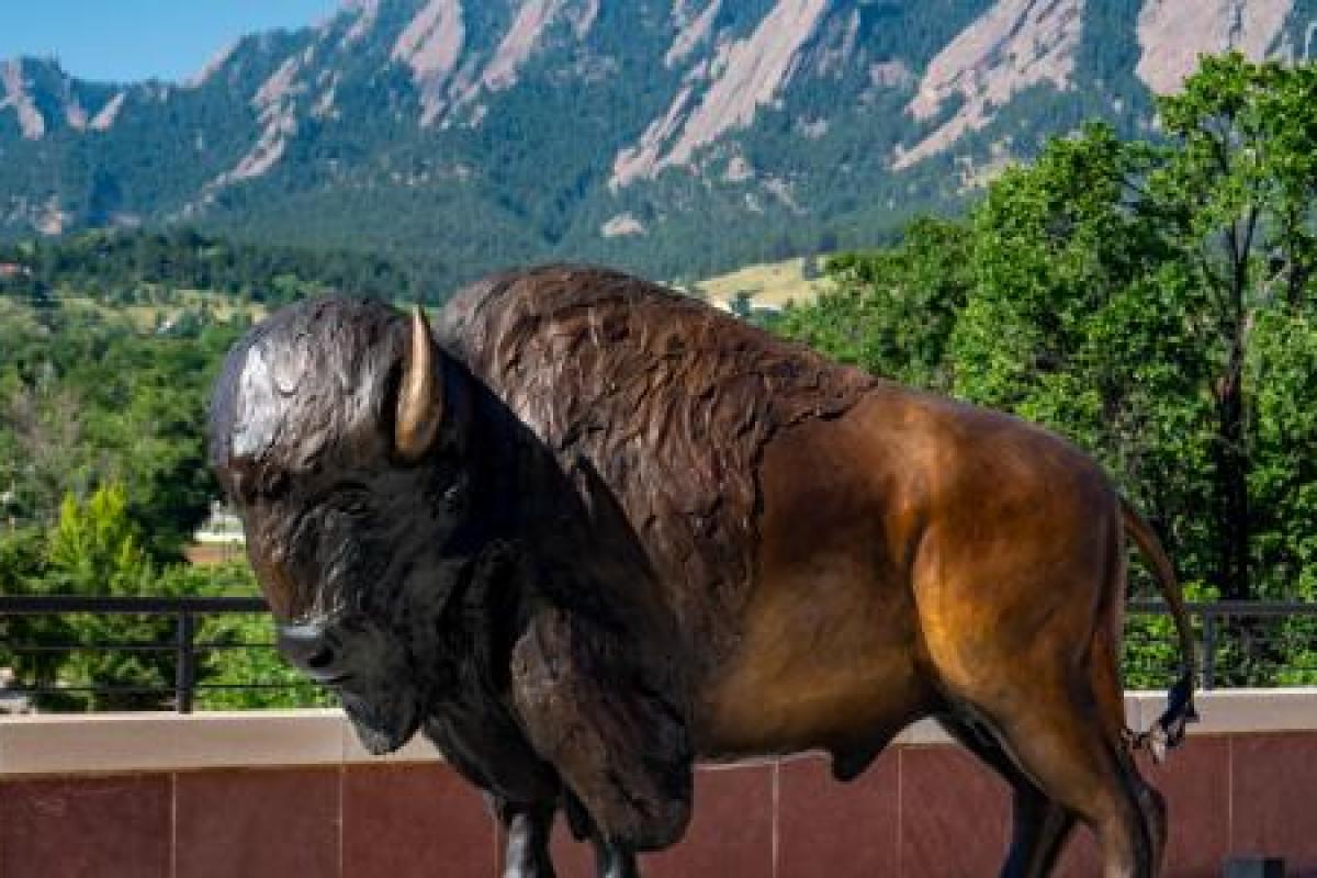 Buffalo statue outside