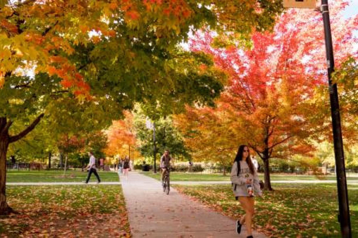 students walking on path during the fall