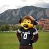 Mascot Chip in football jersey