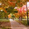 Fall on campus