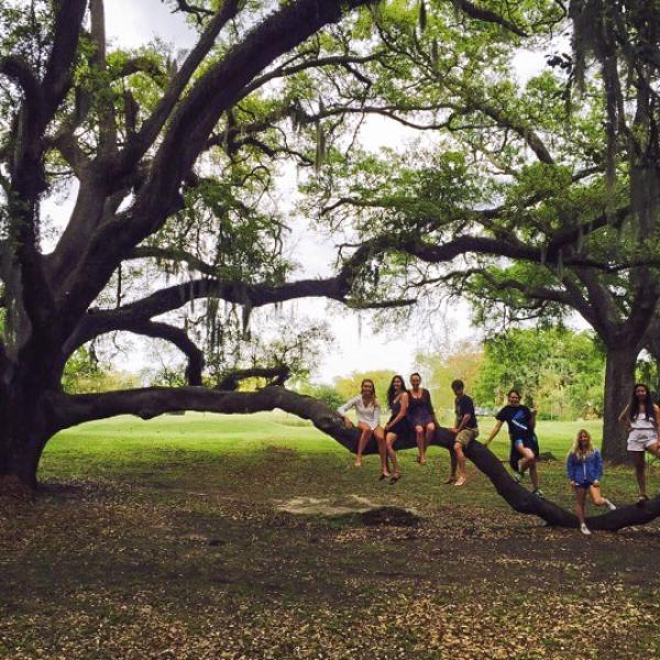 Volunteers hanging out on a tree