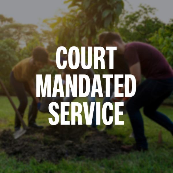 court mandated community service