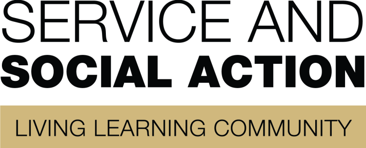 stylized text 'Service and Social Action LLC'