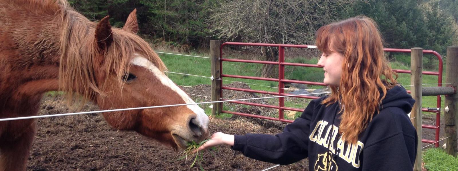 AB Participant feeds horse