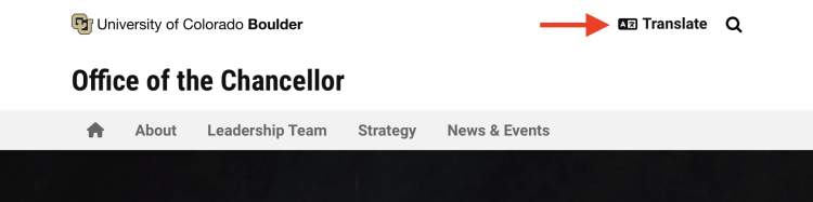 Screenshot of the translate button on Web Express