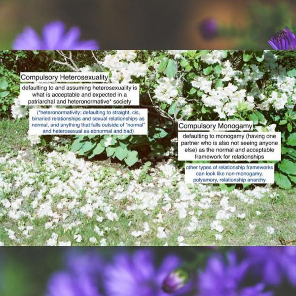 GJL Zine