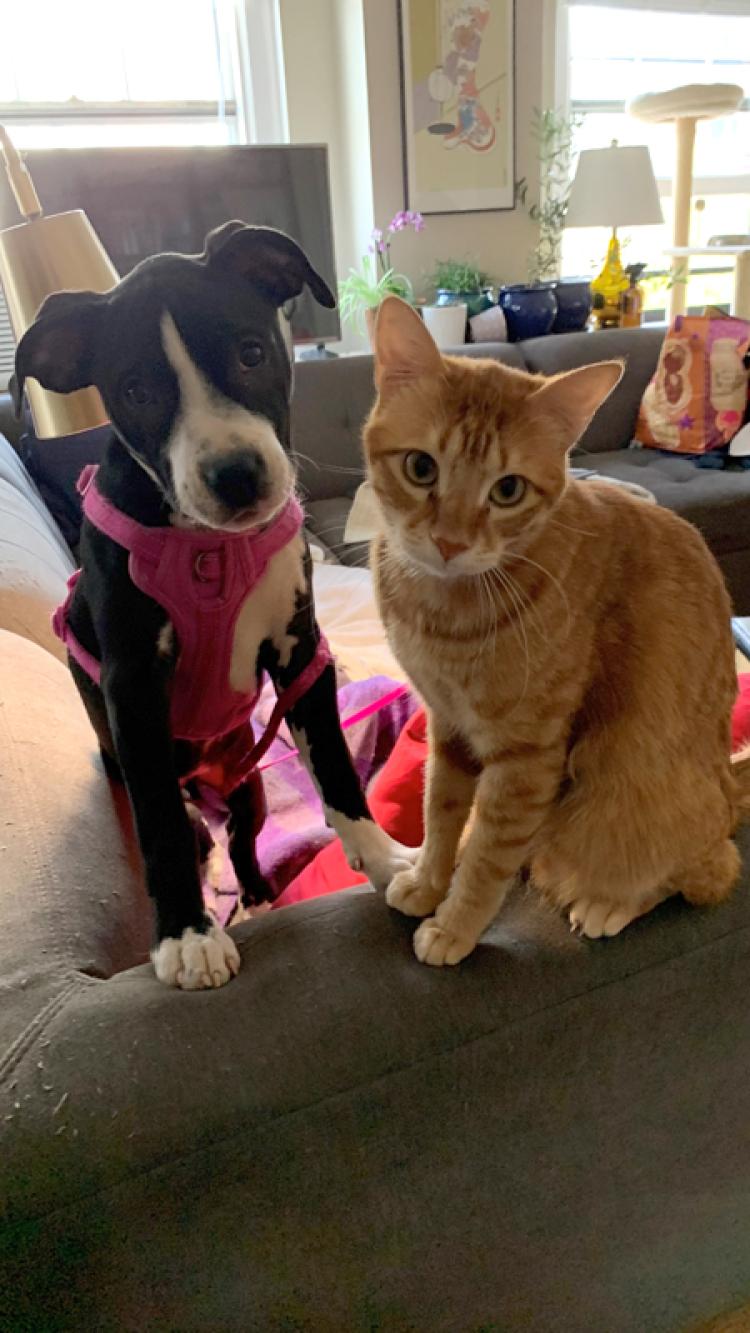 Quincy & Daisy