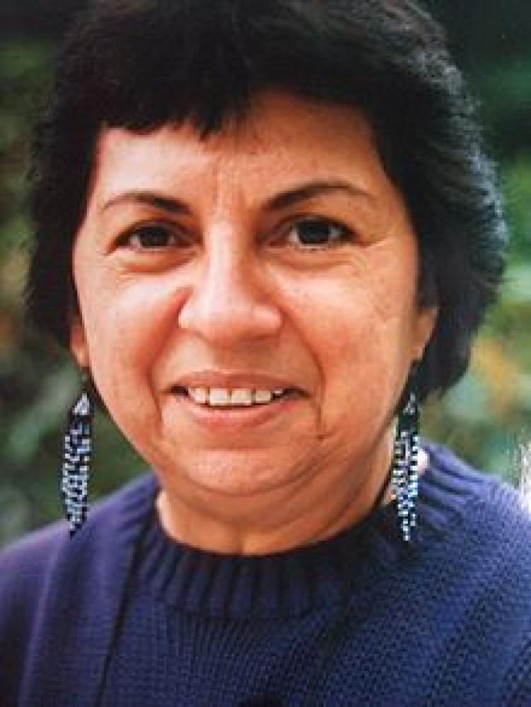 Bridge, Drawbridge, Sandbar, or Island by Gloria Anzaldua