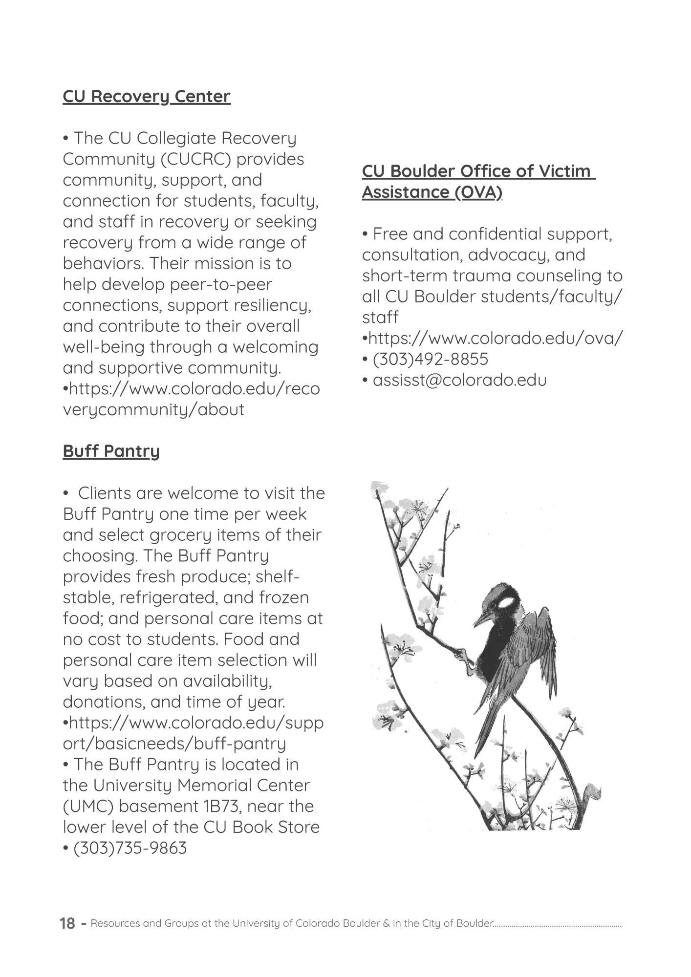 CU Boulder Resources