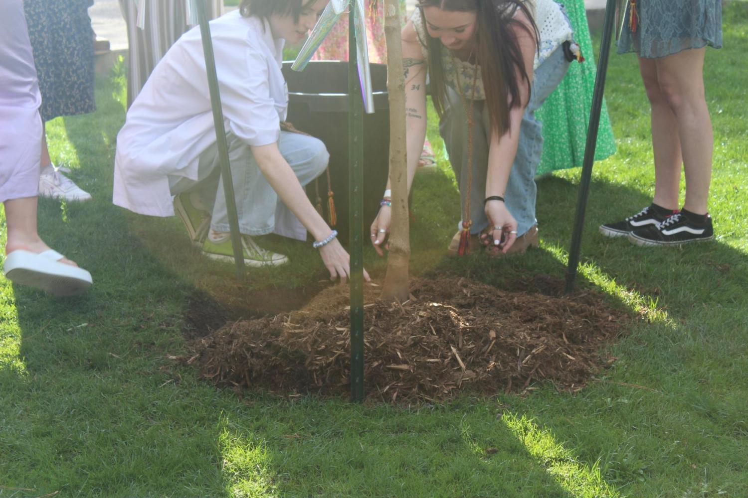 Senior Colloquium Tree Planting Event