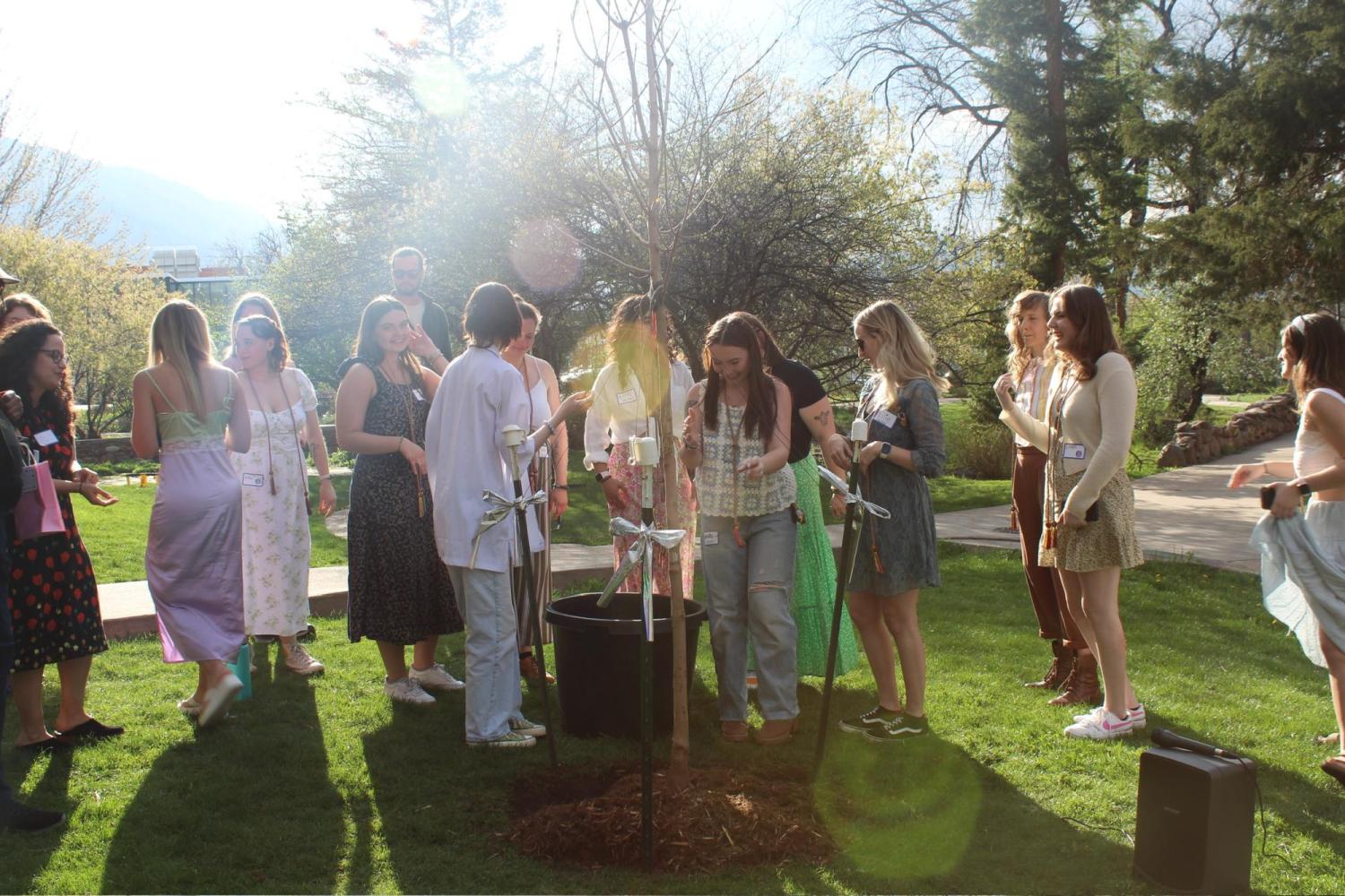 Senior Colloquium Tree Planting Event