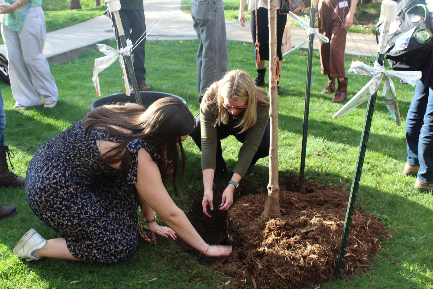 Senior Colloquium Tree Planting Event
